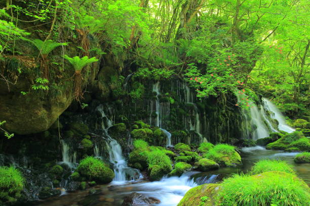 istock Summer former falls underwater water 946738286