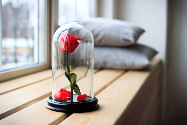 Tthe eternal roses in the flask