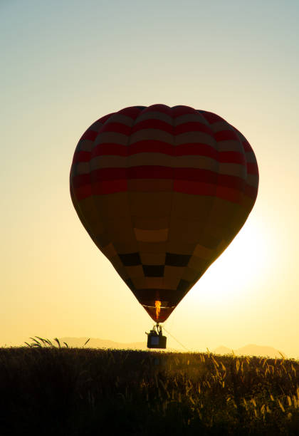 istock Hot Air Balloons Beautiful Silhouette in the sunset 946744146