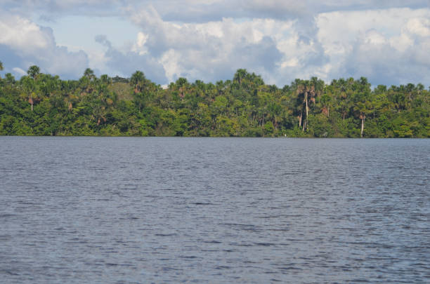 istock The river Amazon and rainforest, near Iquitos, Peru. 946745016