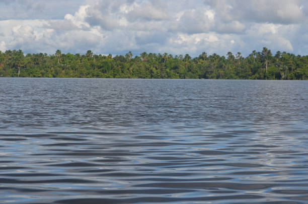 istock The river Amazon and rainforest, near Iquitos, Peru. 946745138