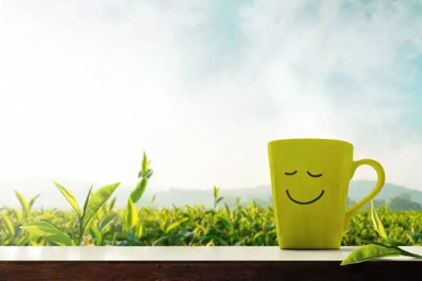 Happy and Relaxation Concept. A Cup of Hot Tea with Smiley Face on Table in front of Green Tea Plantaion Farm, Mountain with Mist as background