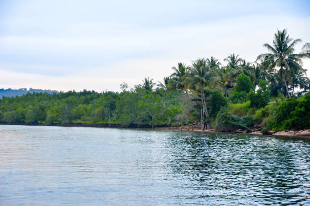 istock The river in southeast Asia tropical green forest 946748548