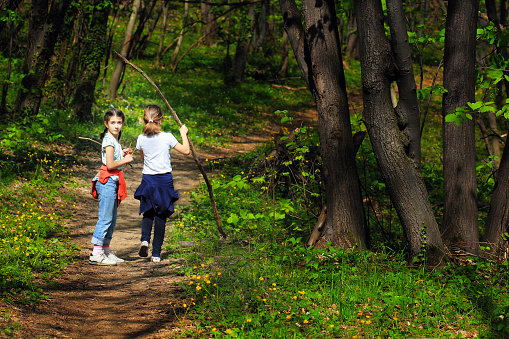 Two young children, girls walking along a path through the woods
