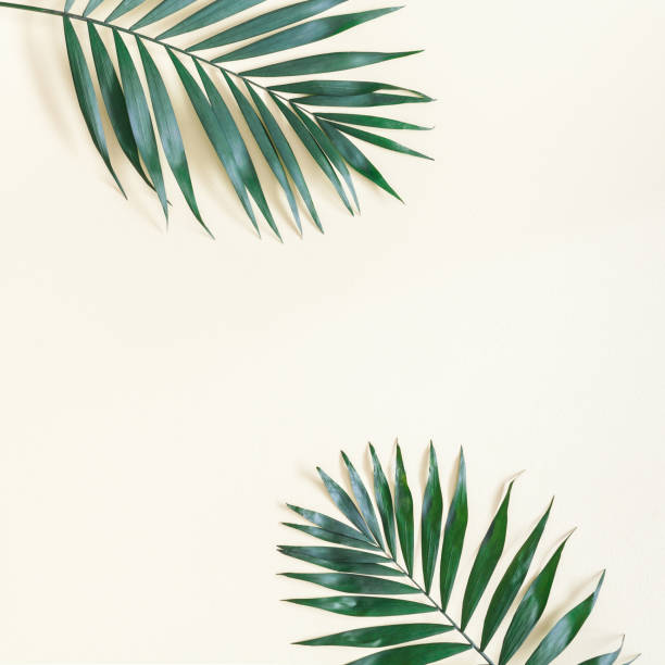 istock Green palm leaves on yellow background. Flat lay, top view 946758550