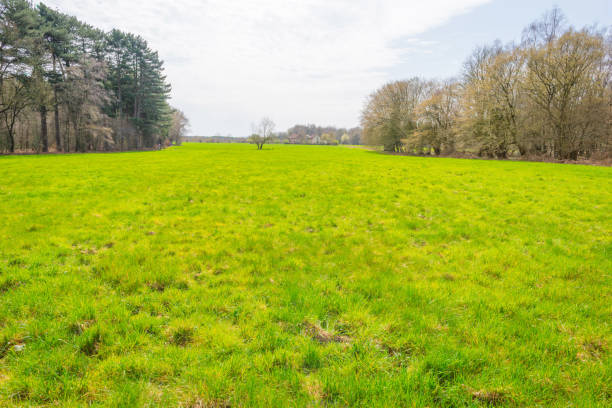 istock Panorama of a green meadow on a hill in sunlight in spring 946758664