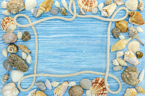 istock vacation photo frame with marine items over wooden table. top view 946768696