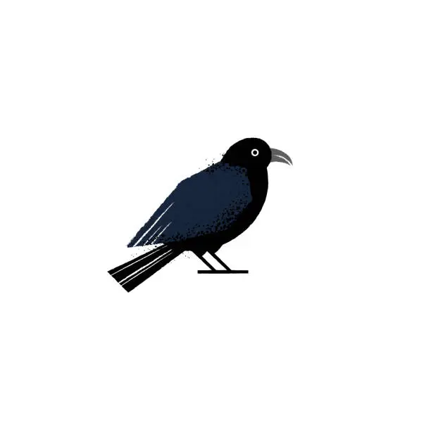Vector illustration of Raven illustration