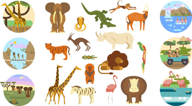 アフリカのサファリのバナー - safari animals africa animals in the wild hippopotamus点のイラスト素材／クリップアート素材／マンガ素材／アイコン素材