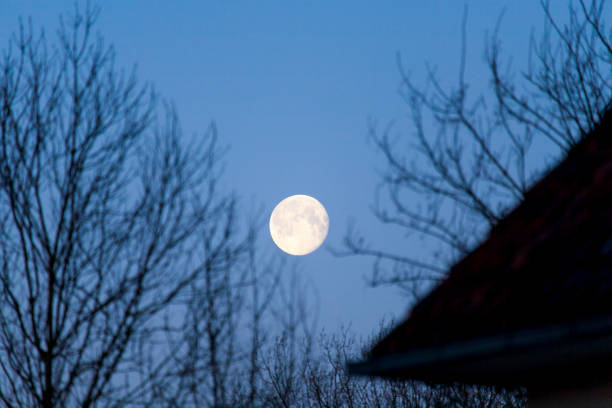 istock house and tree silhouette against the moon at night 946773794