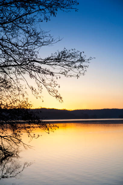 istock blue hour at a lake with reflection in the water 946776324