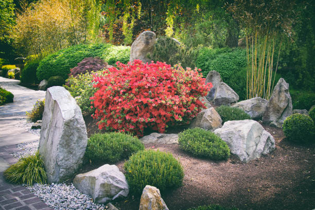 istock japanese garden wit big stones and pavement 946777794
