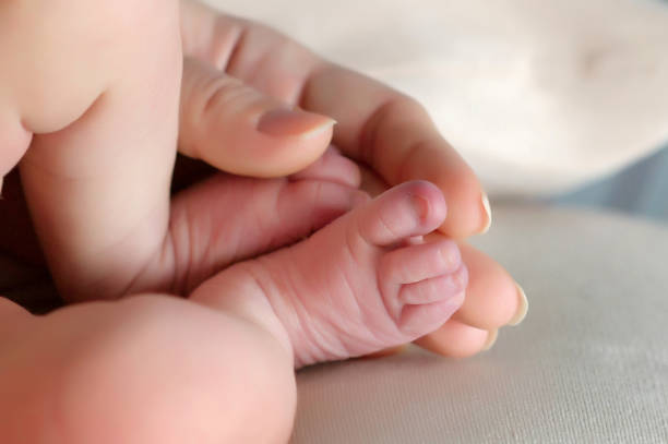 istock close-up of baby's legs and sticks 946785122