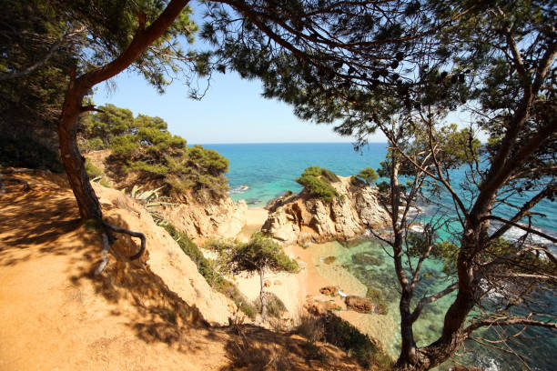 istock Typical Costa Brava landscape near Tossa de Mar in Spain 946788256