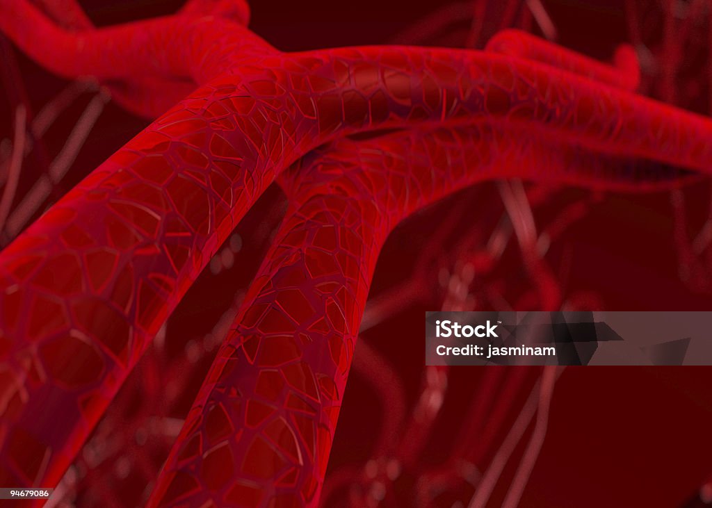 Sangue nelle arterie e vene - Foto stock royalty-free di Vena