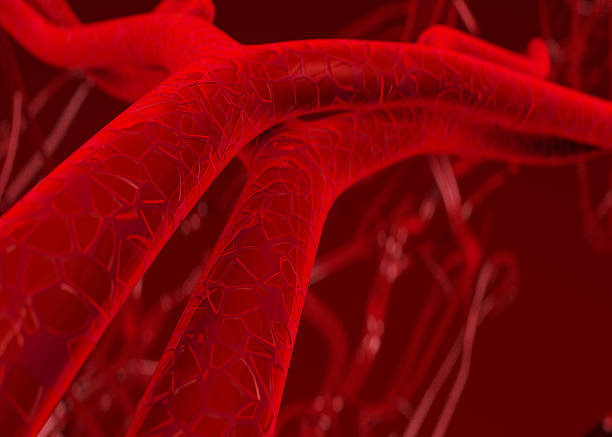 istock Blood arteries and veins 94679086