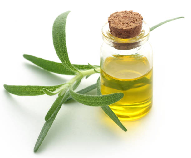 istock Fresh organic rosemary with essential oil 946792364