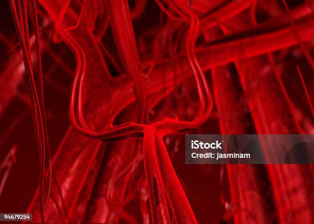 Artérias Ou Veias Sangue - Fotografias de stock e mais imagens de Anatomia - Anatomia, Arteríola, Artéria