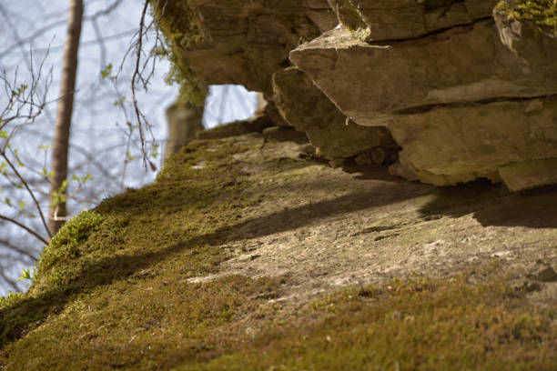 istock The rock massif covered with moss, the sun shines 946792666
