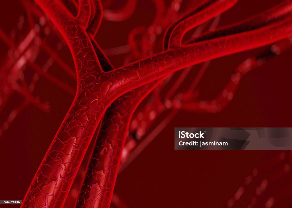유혈 동맥과 정맥을 - 로열티 프리 동맥 스톡 사진