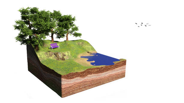 istock cross section of ground with lake, forest, beach and bench, idyllic park with trees cube concept (3d rendering, isolated on white background) 946798680