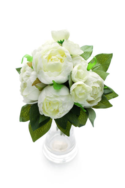 istock peony flowers isolated on white 946799580