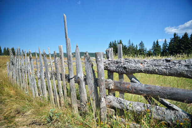 Wooden fence on green garden against blue sky background