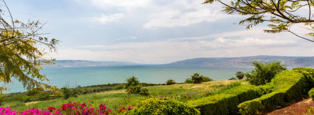 Panoramic view of the sea of Galilee from the Mount of Beatitudes, Israel Panoramic view of the sea of Galilee the kinneret lake from the Mount of Beatitudes, Israel galilee photos stock pictures, royalty-free photos & images