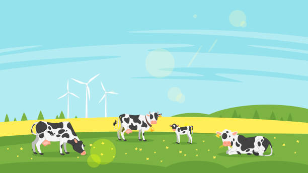 2,124 Happy Cow Cartoon On The Field Illustrations & Clip Art - iStock