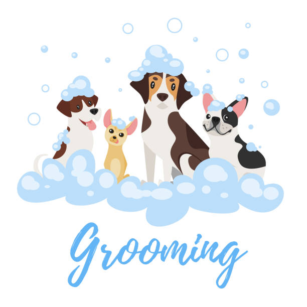 ilustrações de stock, clip art, desenhos animados e ícones de dogs  in soap foam - dog bathtub washing puppy