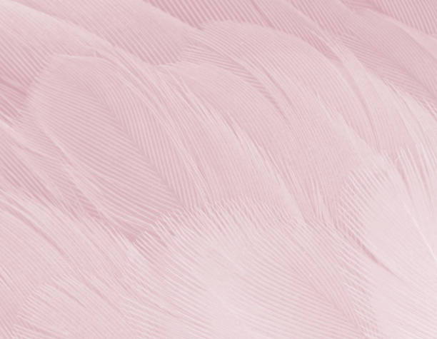 istock Coral Pink vintage color trends feather pattern texture background 946812930