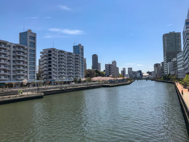 istock City of Japan 946815830