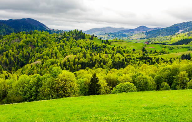 istock forested hills of mountainous rural area 946820246