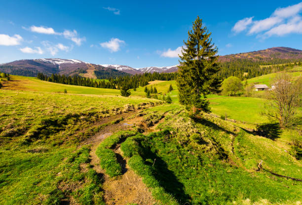 istock rural are in Carpathian mountains in springtime 946824390
