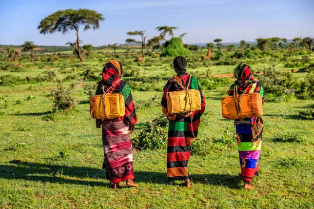 Young African women from Borana tribe carrying water to the village, African women and children often walk long distances to bring back jugs of water that they carry on their back.
The Borana Oromo are a pastoralist tribe living in southern Ethiopia and northern Kenya