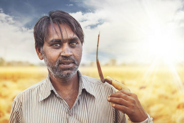 istock Farmer with sickle in wheat filed 946834726