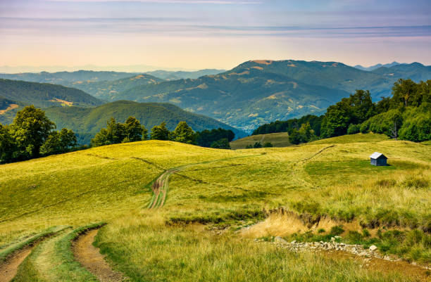 istock truck path down the grassy hill 946834764