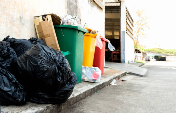 istock closeup trash bin with soft-focus and overlight in the background 946835656