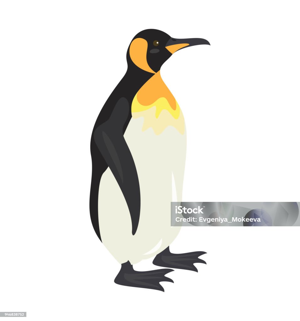Biểu Tượng Chim Cánh Cụt Hoạt Hình Trên Nền Trắng Hình minh họa ...