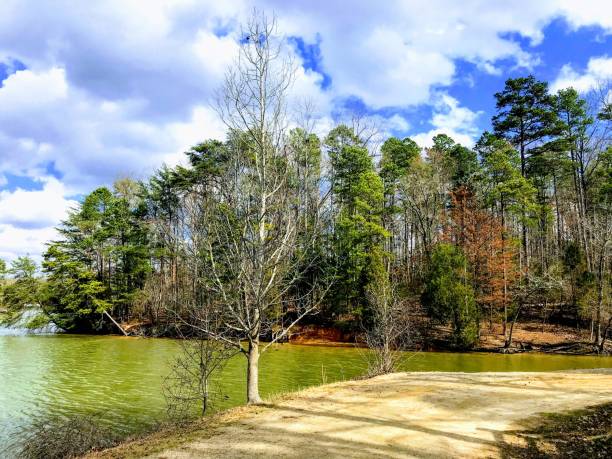istock Signs of Spring at the Lake 946840060