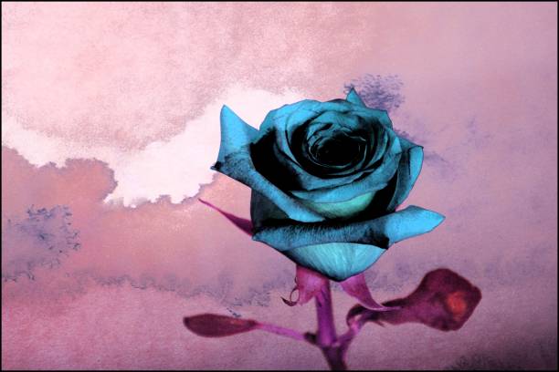 istock Artistic blue rose on a textured purple background 946842306