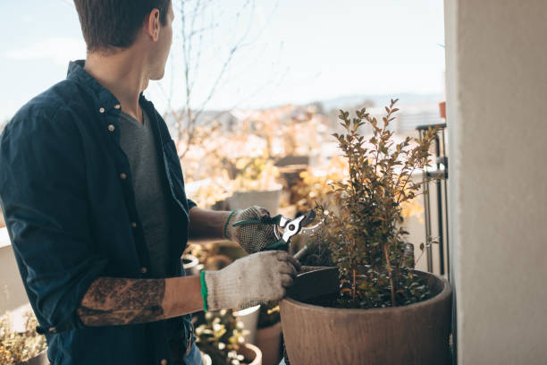 istock Taking care of my plants 946845606