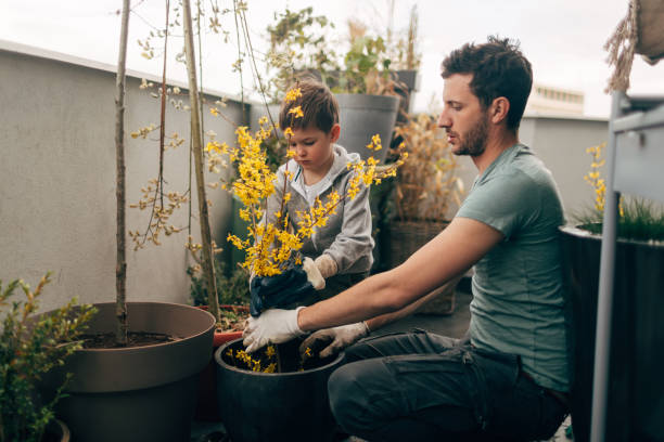 Gardening time with my daddy Young man and his son taking care of their plants on the balcony of loft apartment apartment balcony garden stock pictures, royalty-free photos & images