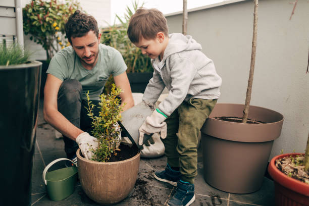 gartenarbeit-zeit mit meinem papa - growth new life seedling child stock-fotos und bilder