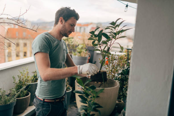 Urban garden on top of the city Young man taking care of his plants on the balcony of loft apartment apartment balcony garden stock pictures, royalty-free photos & images