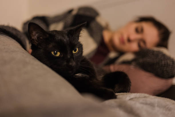 istock Woman falling asleep with a cat 946852816