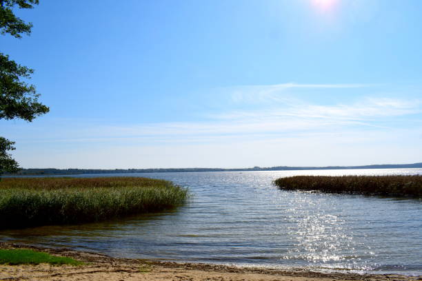 istock Lake surrounded by reeds 946858240