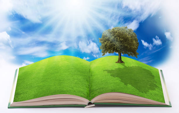 istock renewable energy for a clean world 946862188