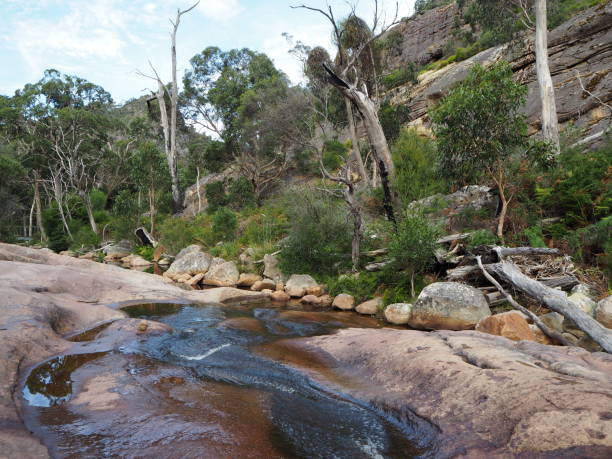 istock Flowing water in the Grampians 946865410