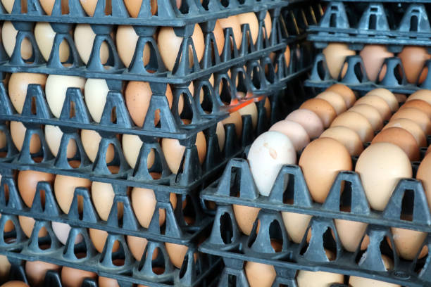istock raw chicken eggs for cooking in plastic board at market 946865538